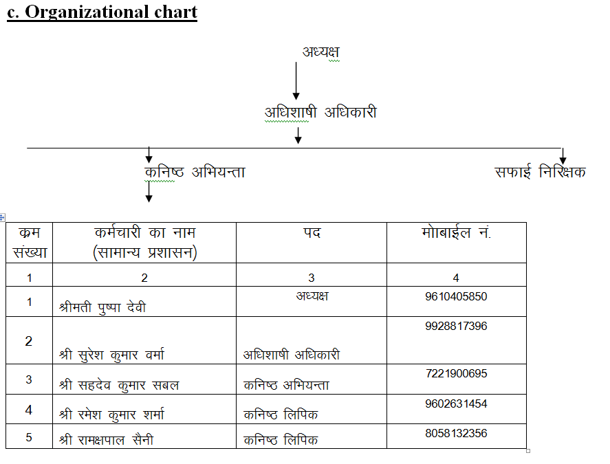 Organizational Chart